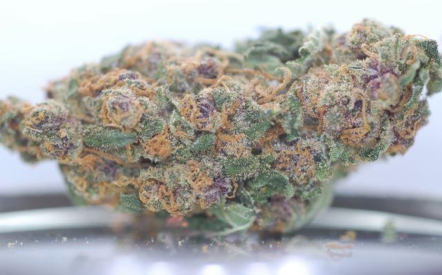 blueberry marijuana