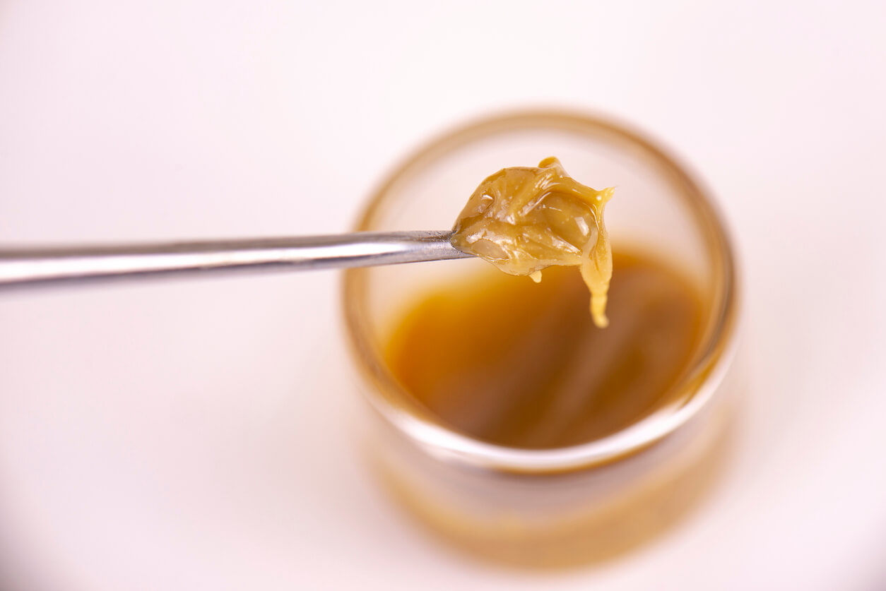 Detail of cannabis concentrate extracted from the marijuana plant for medical use, isolated over white background