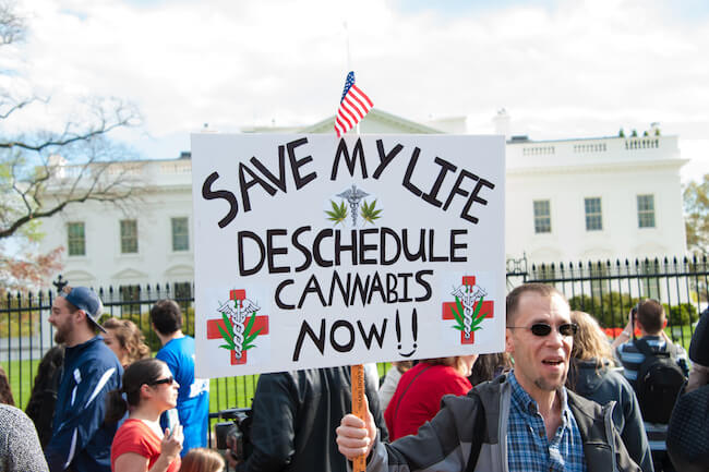 Protesters in front of the White House, Pro Marijuana Protesters 
