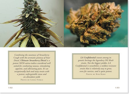 Cannabis book spreads