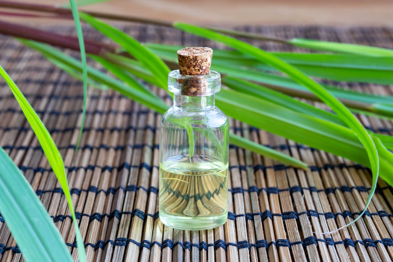 A bottle of lemon grass essential oil with fresh lemon grass on a table
