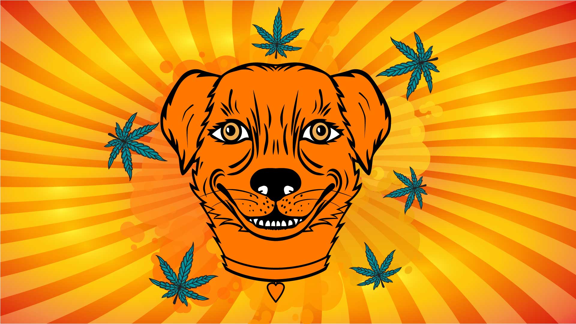 Can my pet get high from second hand smoke?