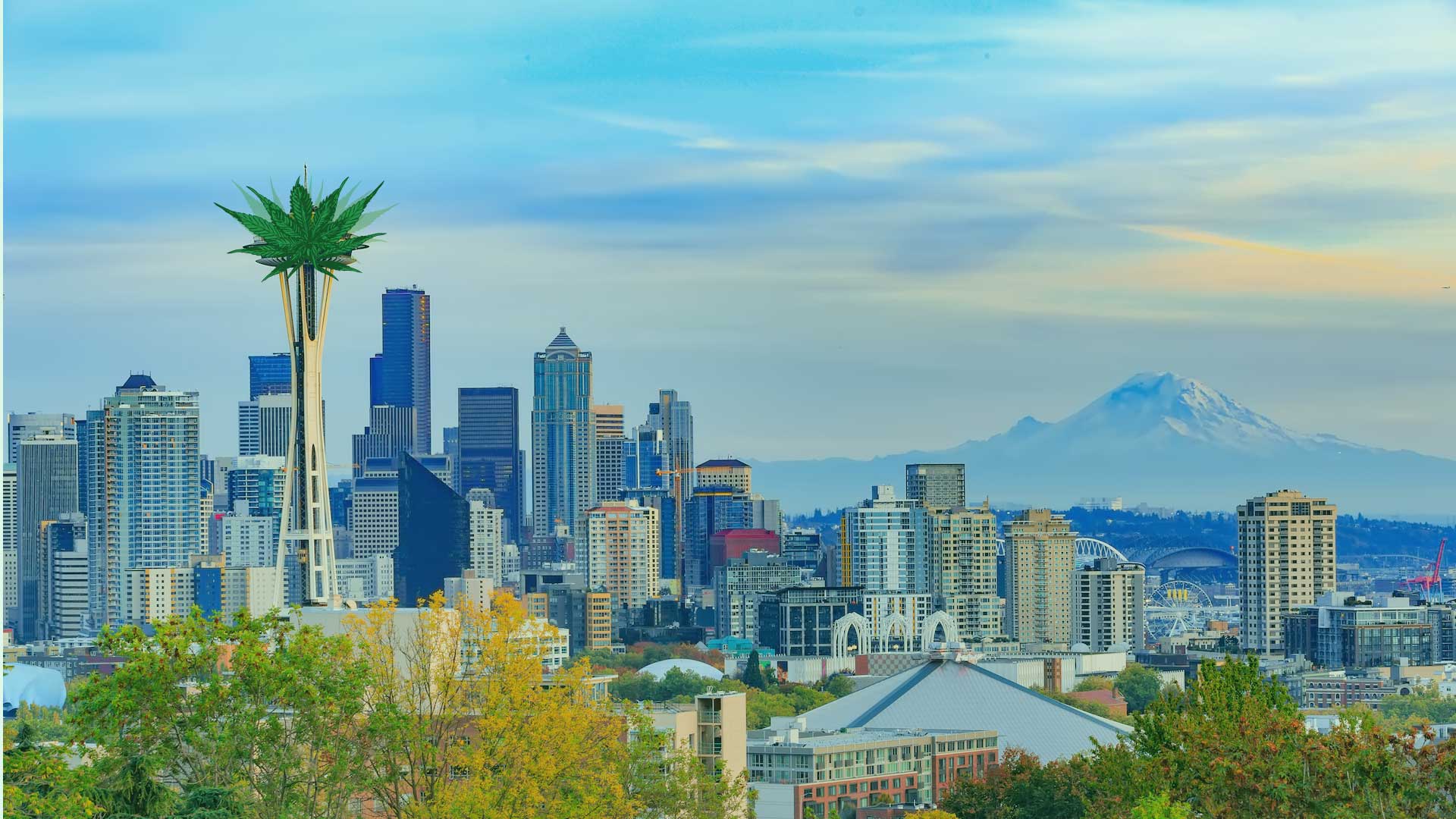 Best dispensaries near the Space Needle