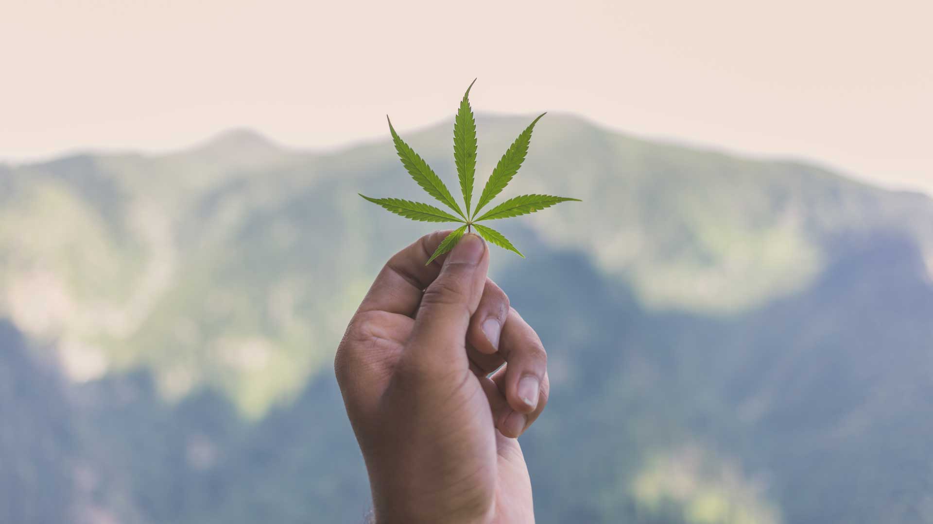 Is medical marijuana safe?