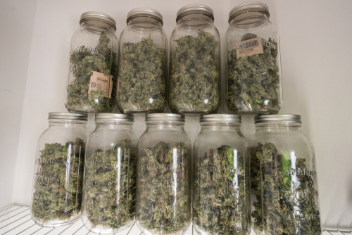 Jar cure your bud