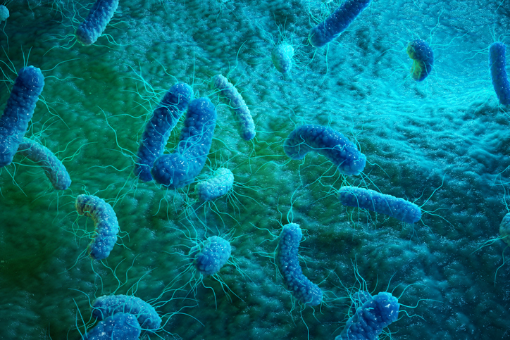 Enterobacterias Gram negativas Proteobacteria, bacteria such as salmonella, escherichia coli, yersinia pestis, klebsiella. 3D illustration.