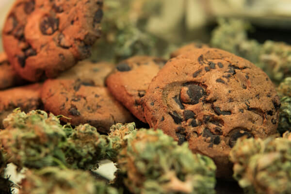 Closeup of cookies and marijuana buds
