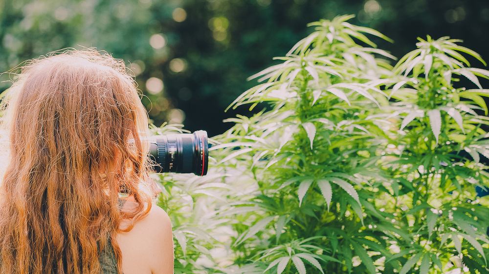 Follow these cannabis photographers