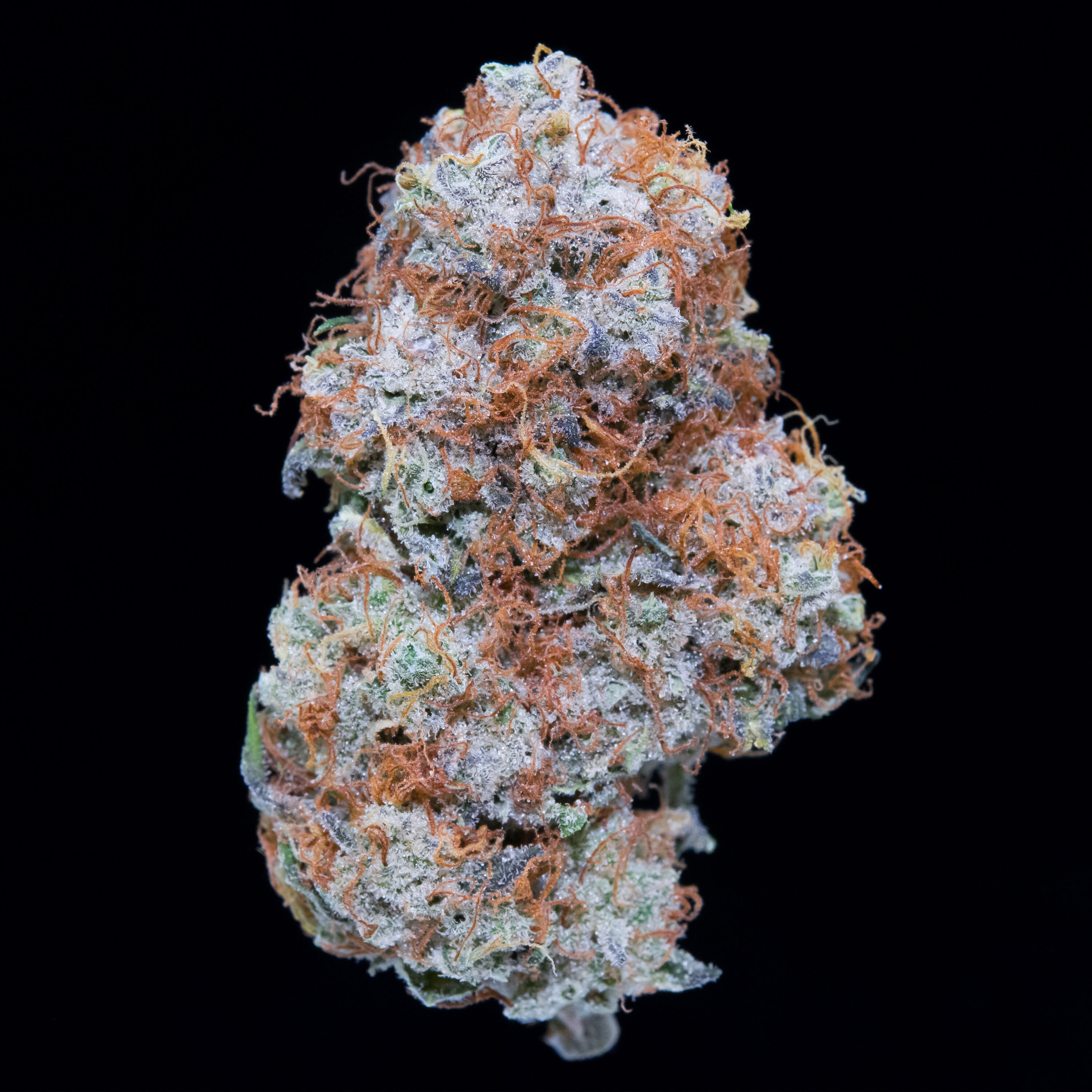 Nug of weed titled, "Falcanna Orange Blossom."