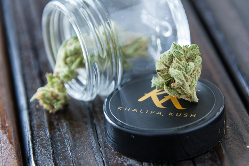 Wiz Khalifa's weed has good packaging