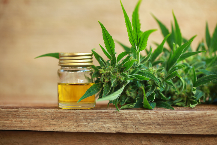 cannabis oil and hempCBD must have less than .3% THC content to be sold in Indiana