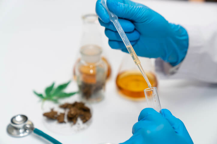 research Marijuana: Bad plants or alternative herbs