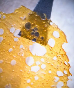 Close up of cannabis oil concentrate aka shatter with dabbing tool isolated against white background