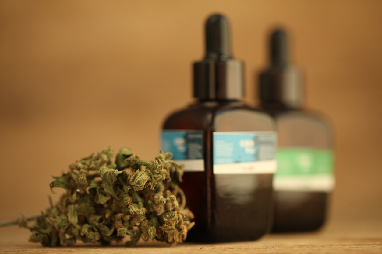 marijuana medical cannabis oil cbd