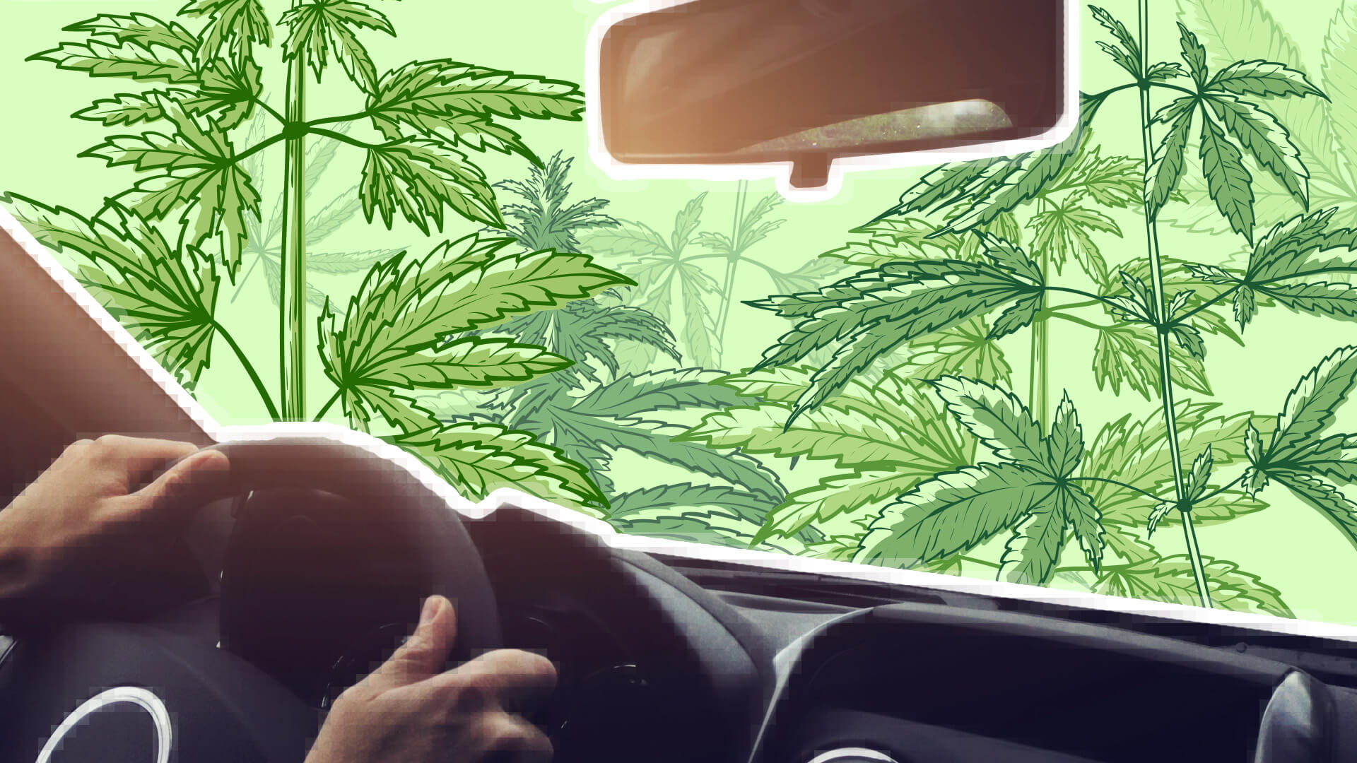Driving while high