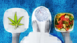 weight loss and cannabis