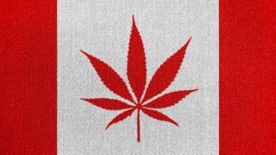 Canadian flag with a marijuana leaf in the center.