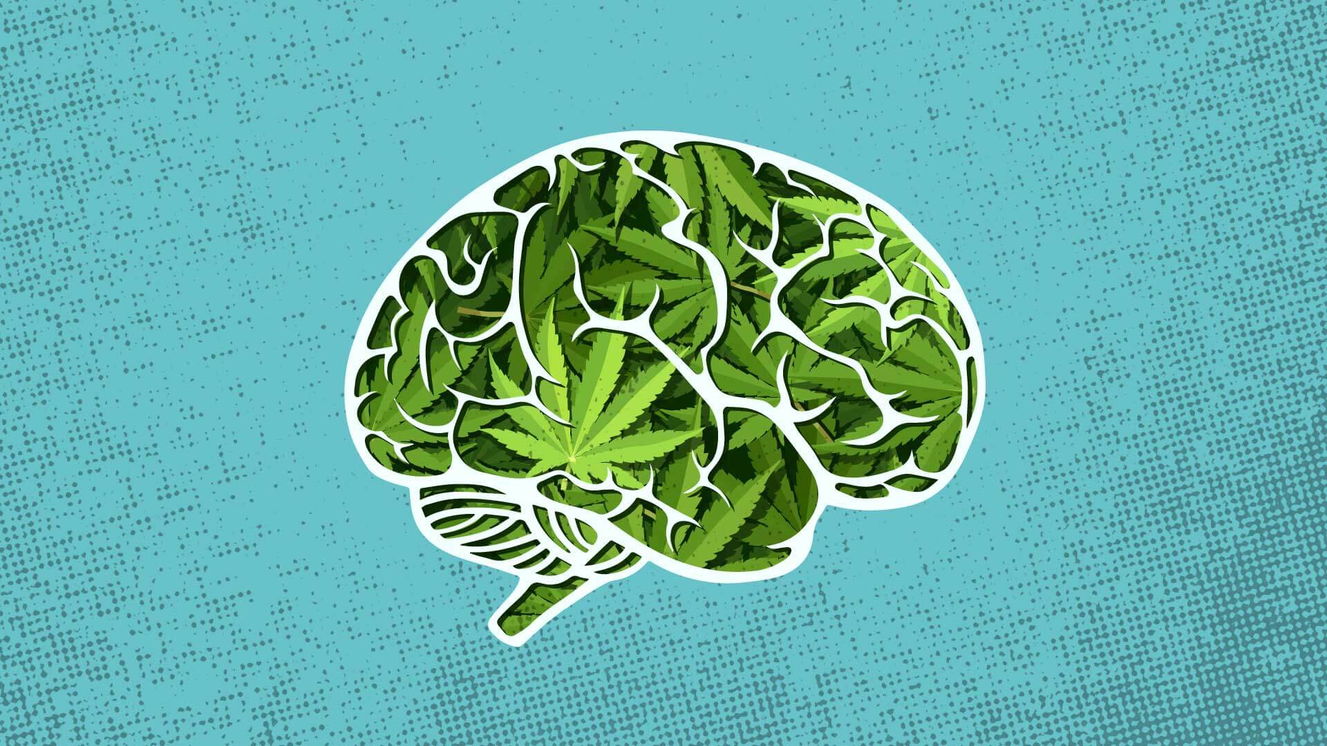 vector popart image of brain with marijuana in it