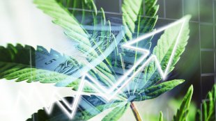cannabis banking bill