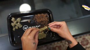 rolling a joint on a wikileaf rolling tray