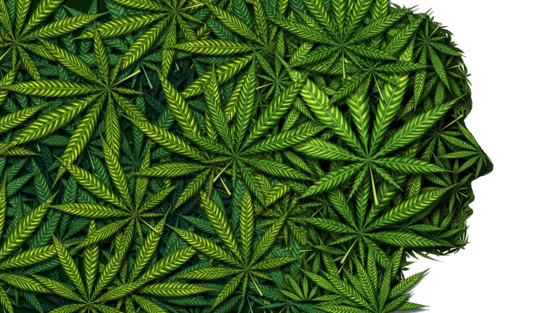 how to help medical marijuana patients