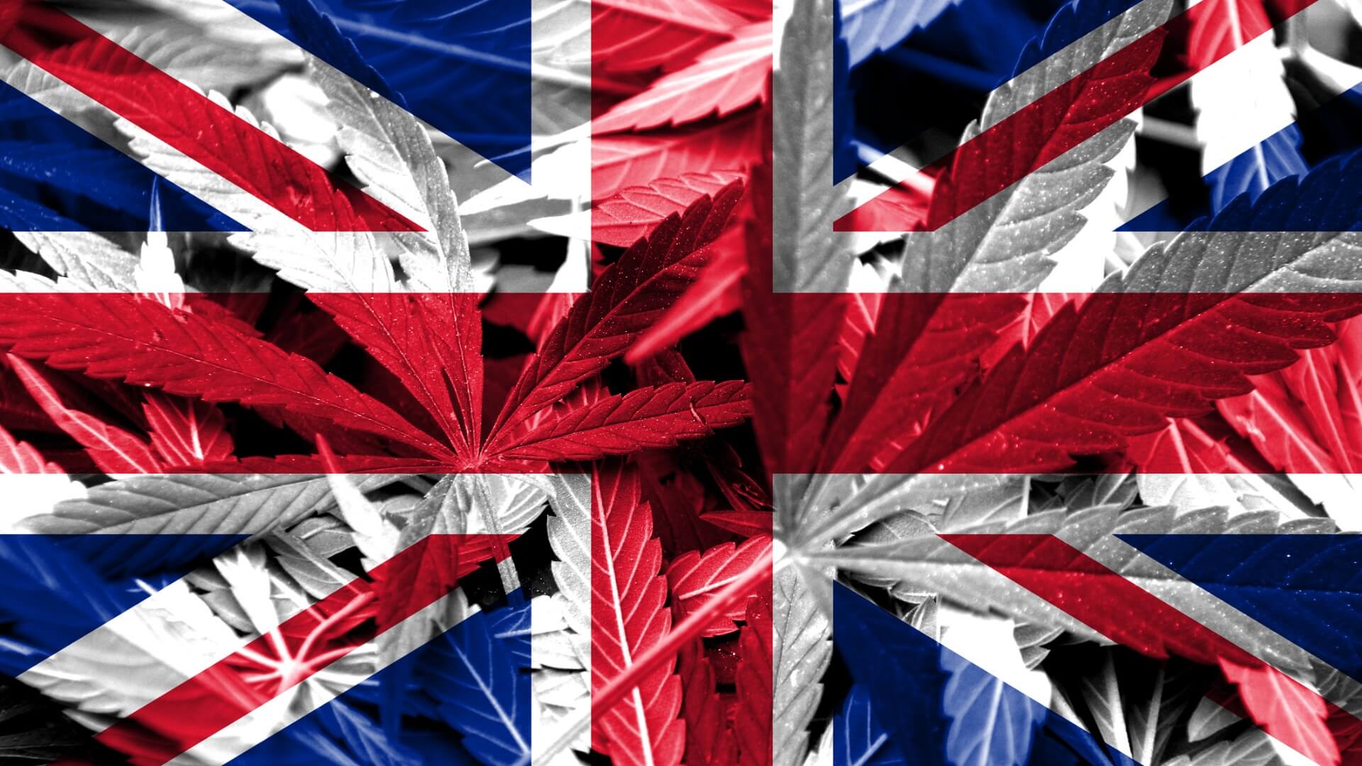 UK flag with cannabis on it
