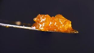a macro photo of amber terp sauce