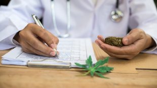 doctor filling out paperwork with cannabis in hand
