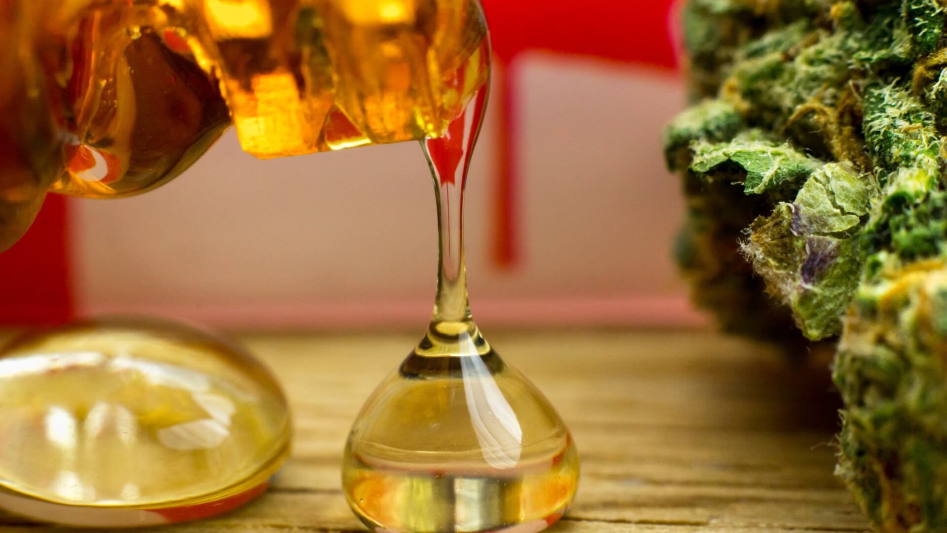 cannabis distillate next to a nug