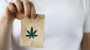 Little brown bag with cannabis logo