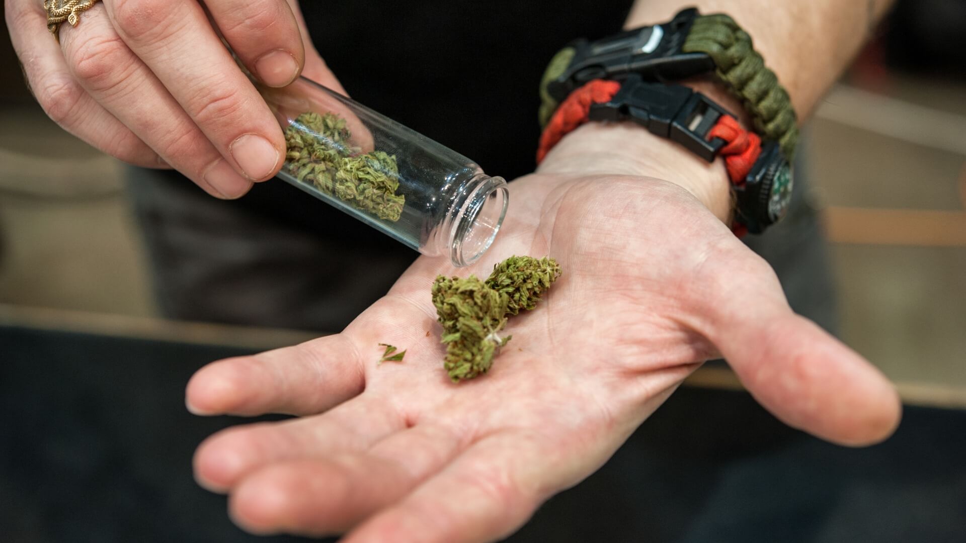 a handful of cannabis