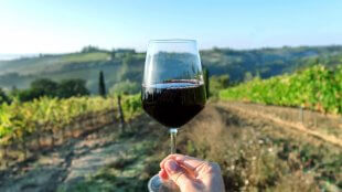 Wine glass over nice landscape