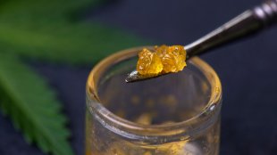 Close up of cannabis concentrate