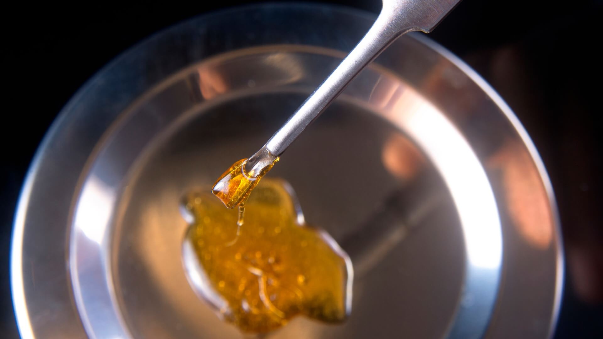 Melted cannabis concentrate on a dabbing tool