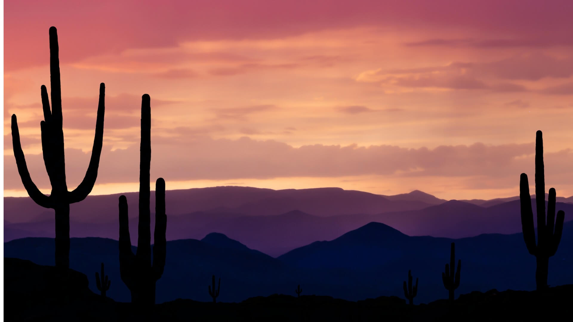 Southwest Arizona desert during a sunset