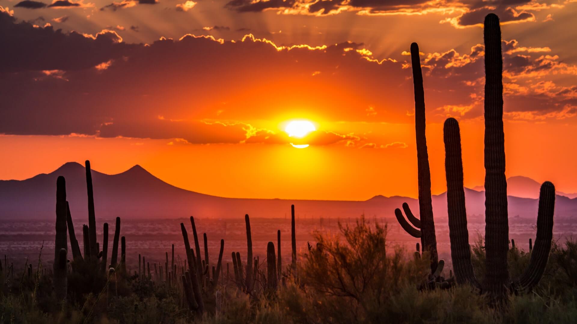 A sunset in a desert in Arizona