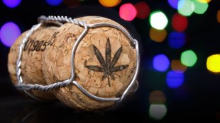 A wine cork with a cannabis leaf on it