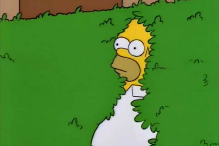 Homer Simpson hiding in a hedge
