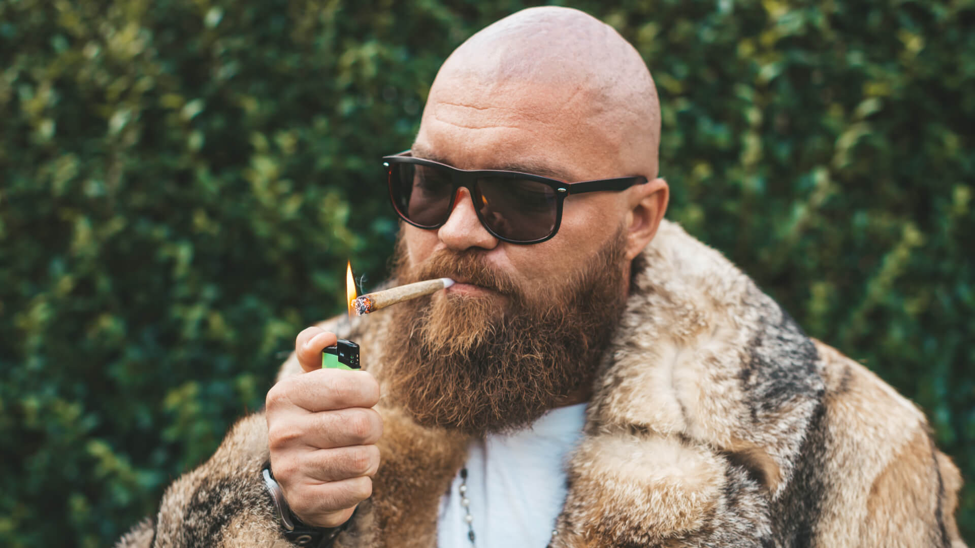 Bald and Bearded man with a fur jacket and sunglasses smoking a joint