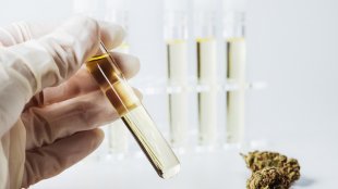 A lab technician holding a cannabis testing vial