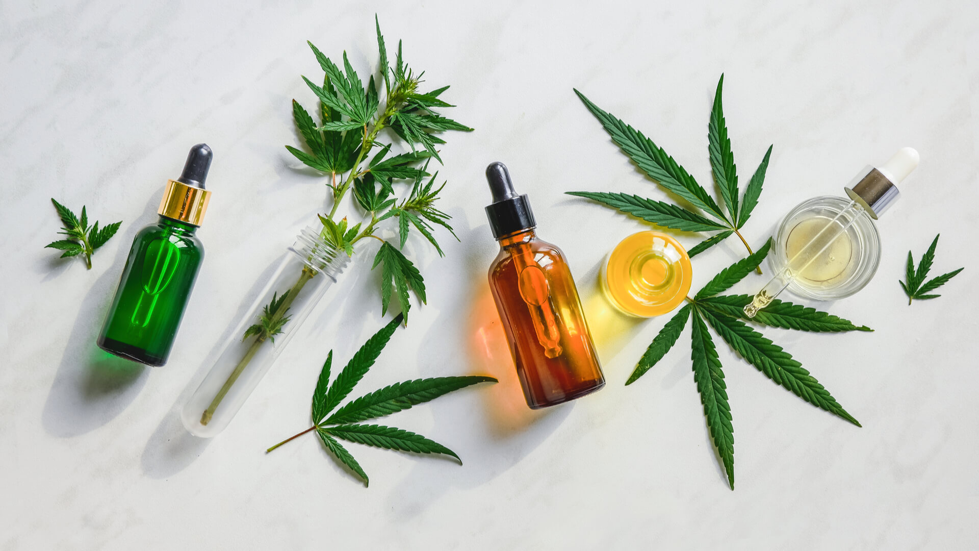 Bottles of Hemp and CBD oil next to cannabis leaves on a white background