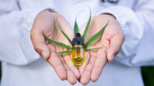 A scientist holding a bottle of cbd hemp oil and a cannabis leaf