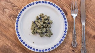 cannabis buds on a plate next to a fork and knife