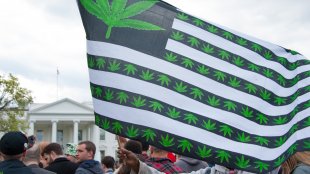 A protester holding up an American weed flag in front of The White House