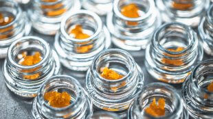 Live Resin concentrate in glass containers