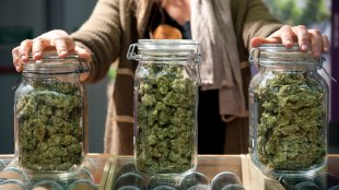 a budtender displays 3 jars filled with cannabis buds