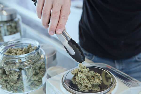 A budtender weighing cannabis buds from a glass jar