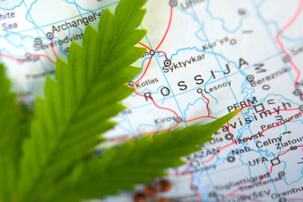 a cannabis leaf and seeds lying on top of a map of russia