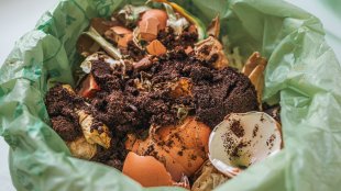 soil and food scraps in a compost bin with a green trash bag
