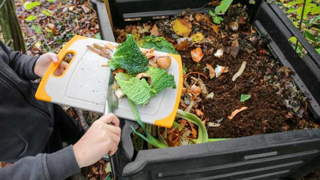 a person scrapes food scraps, lettuce and other vegetables into a compost bin filled with soil and other scraps